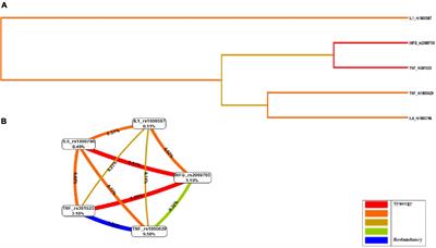 Synergistic influence of cytokine gene polymorphisms over the risk of dementia: A multifactor dimensionality reduction analysis